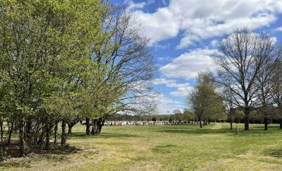 “Landleben deluxe im Wendland“- Historische Hofstelle an der Nemitzer Heide”