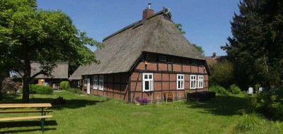 Schönes Reetdach-Bauernhaus mit Bauerngarten und Treppenspeicher