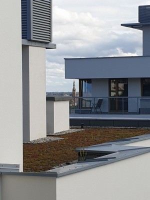 immobilien mieten