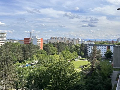 20qm möbliertes Zimmer mit Alpenblick 10min Ubahn (Quiddesstr.)