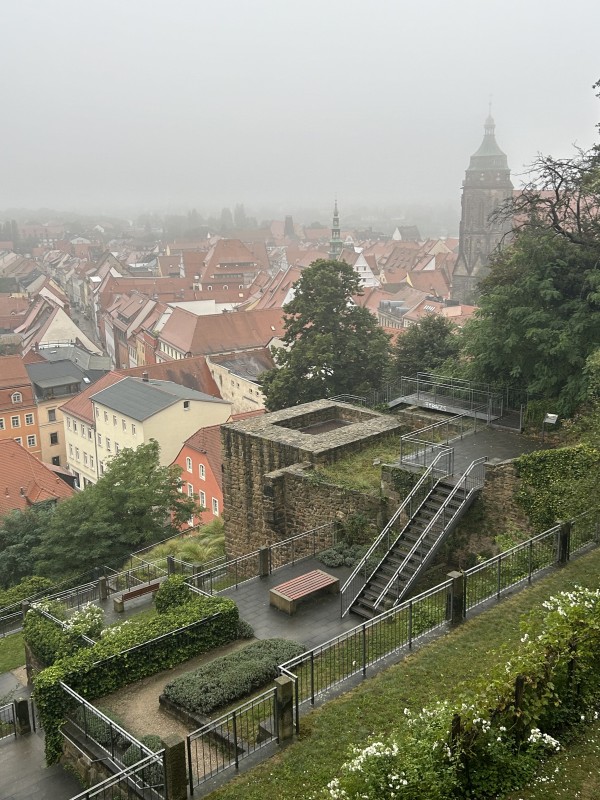 Mietgesuch Pirna