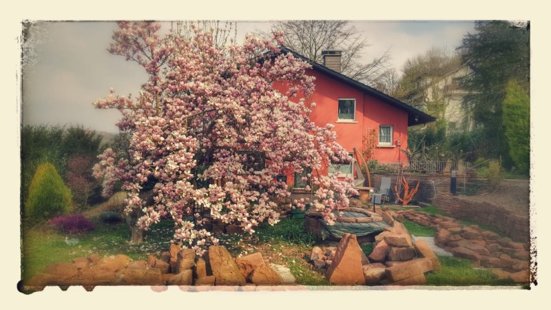 Mietgesuch Korntal-Münchingen